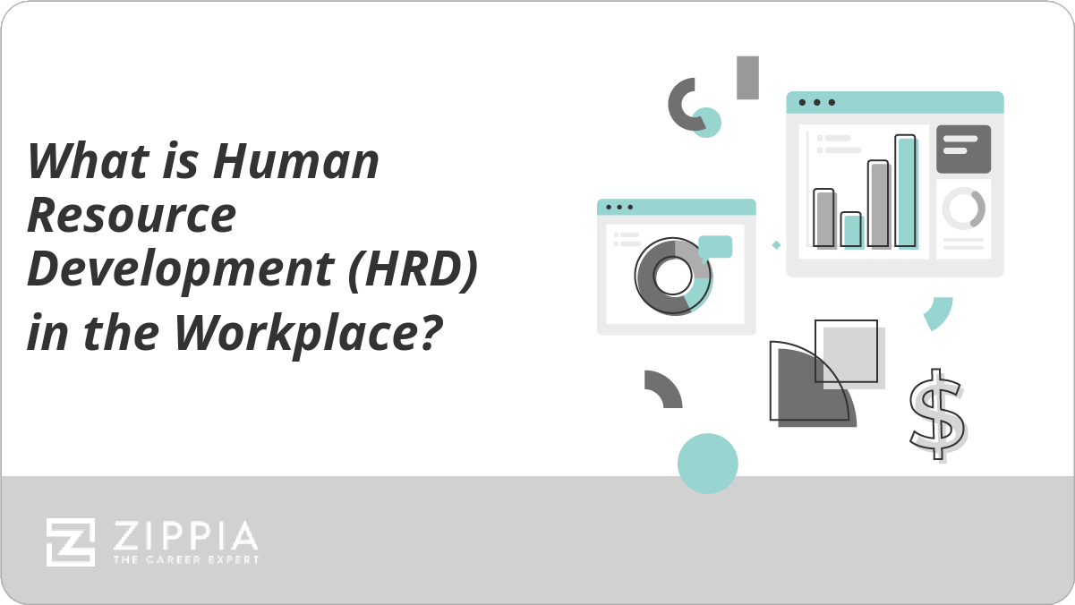 What is Human Resource Development in the Workplace?